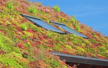 Cathays living roof systems