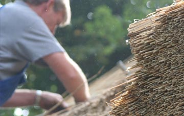 professional Cathays thatchers